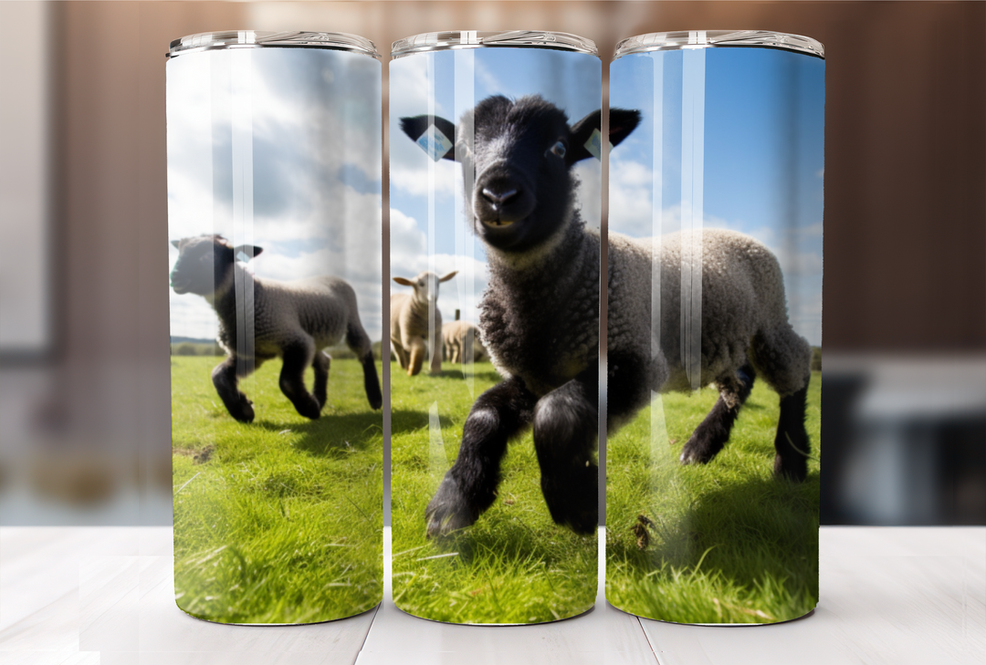 Suffolk Sheep Lambs Tumbler