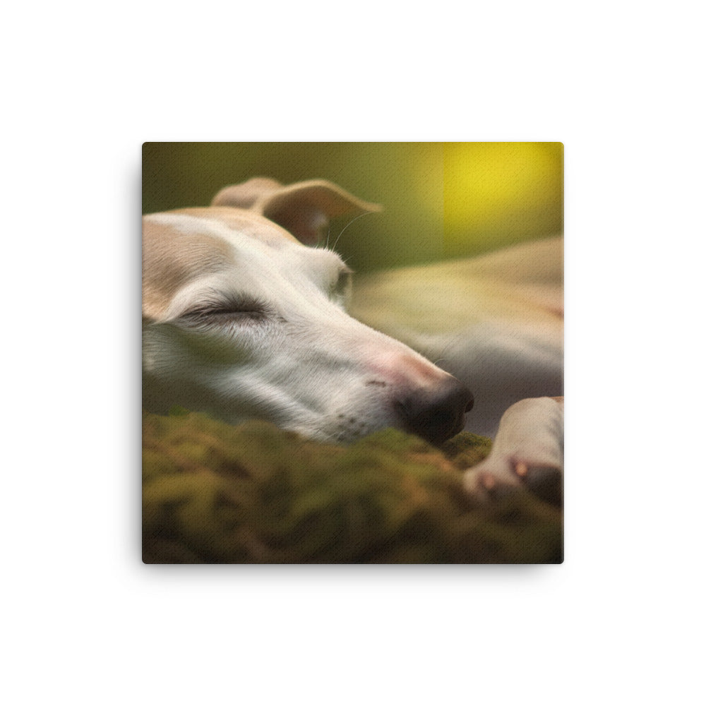Whippet Beauty Sleep Canvas - PosterfyAI.com