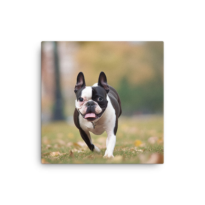 Spunky Boston Terrier in the Park Canvas - PosterfyAI.com