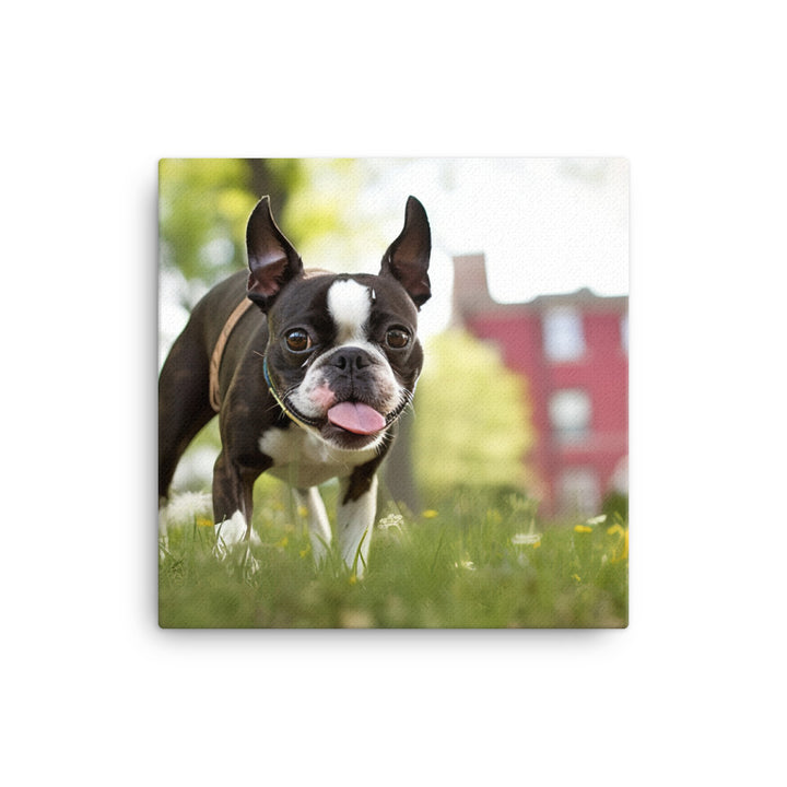 Spunky Boston Terrier in the Park Canvas - PosterfyAI.com