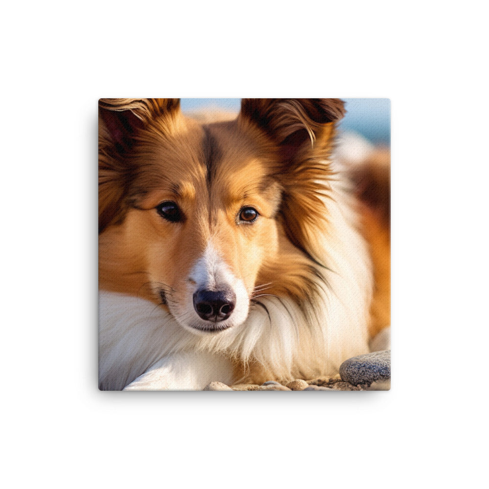 Shetland Sheepdog Relaxing on the Beach Canvas - PosterfyAI.com