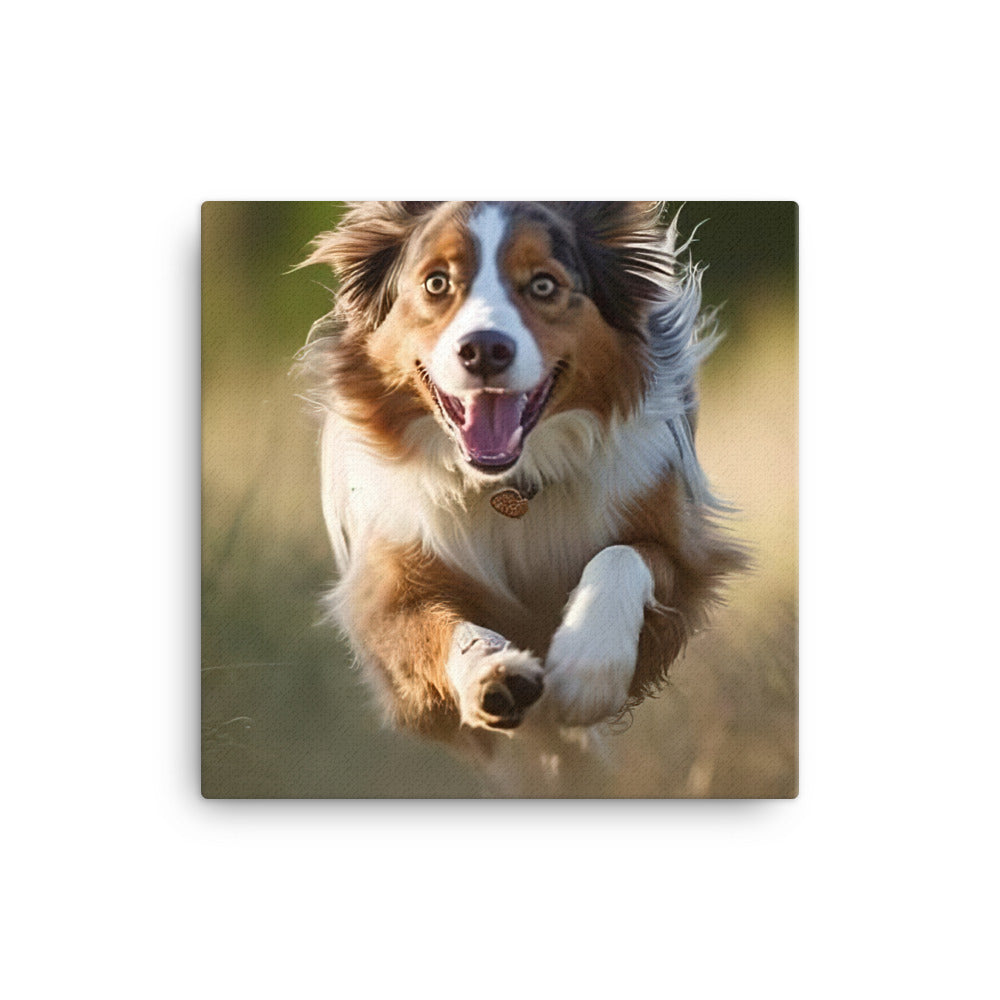 Australian Shepherd Canvas - PosterfyAI.com