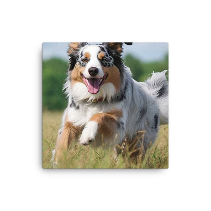Australian Shepherd Canvas - PosterfyAI.com