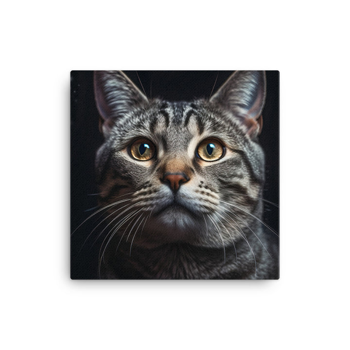 American Shorthair Cat Canvas - PosterfyAI.com