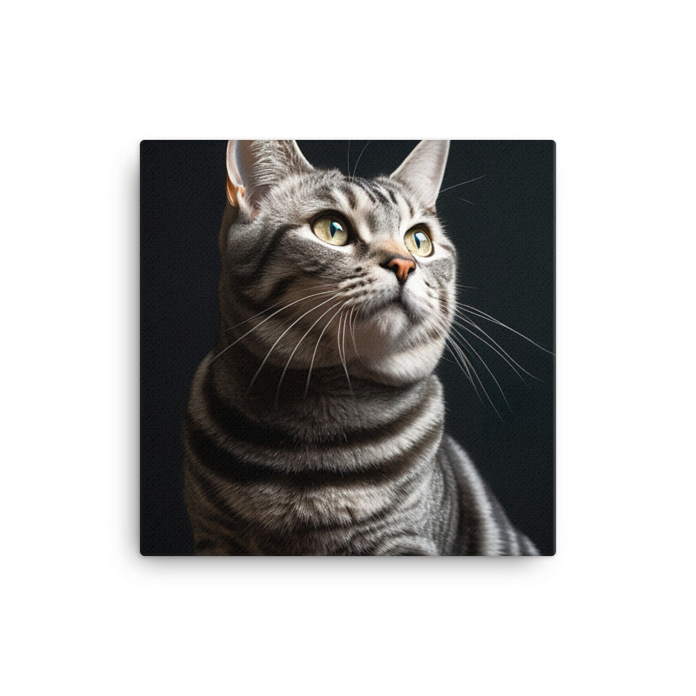 American Shorthair Cat Canvas - PosterfyAI.com