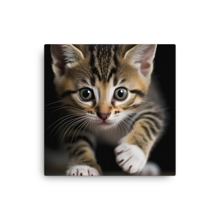 American Shorthair Kitten Canvas - PosterfyAI.com
