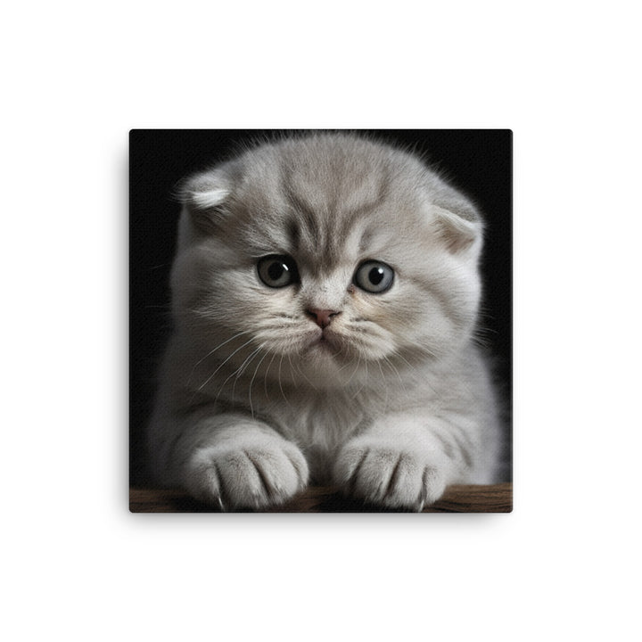 Scottish Fold Kitten Canvas - PosterfyAI.com