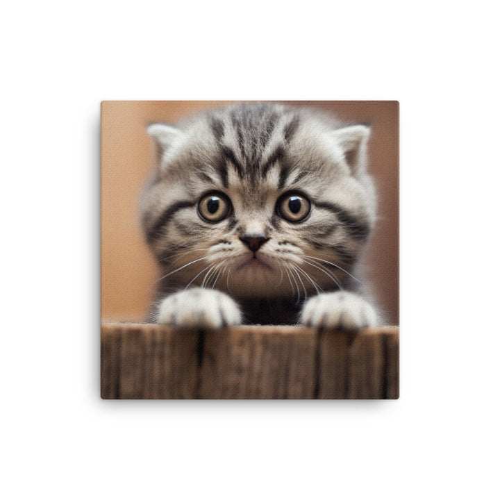 Scottish Fold Kitten Canvas - PosterfyAI.com