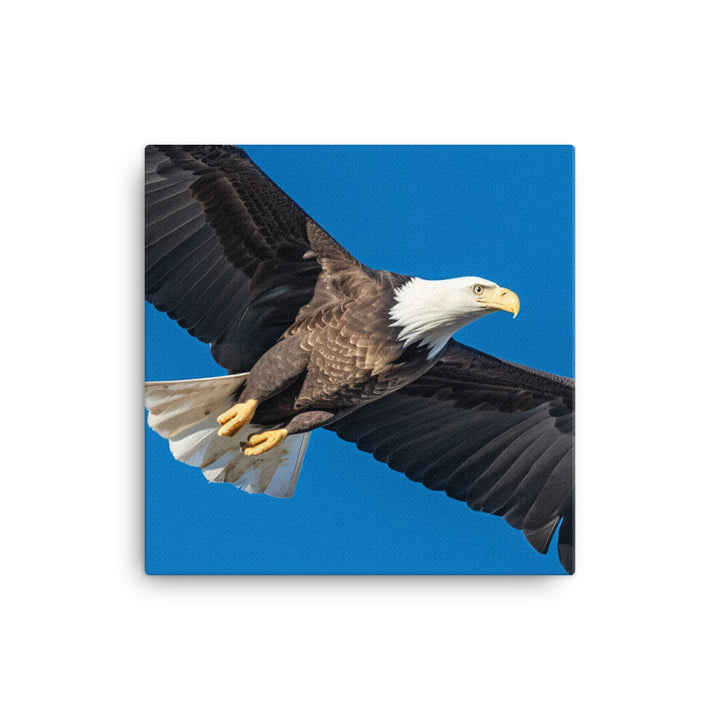 Beautiful Bald Eagle in Flight Against the Blue Sky Canvas - PosterfyAI.com