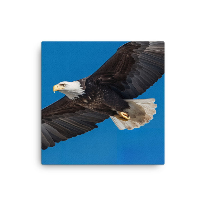 Beautiful Bald Eagle in Flight Against the Blue Sky Canvas - PosterfyAI.com