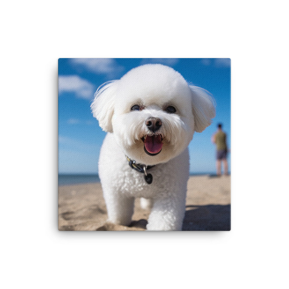 Bichon Frise on a Beach Canvas - PosterfyAI.com