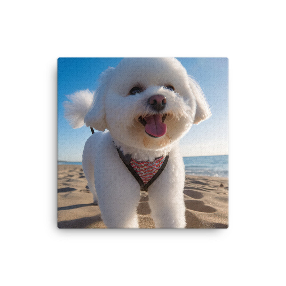 Bichon Frise on a Beach Canvas - PosterfyAI.com