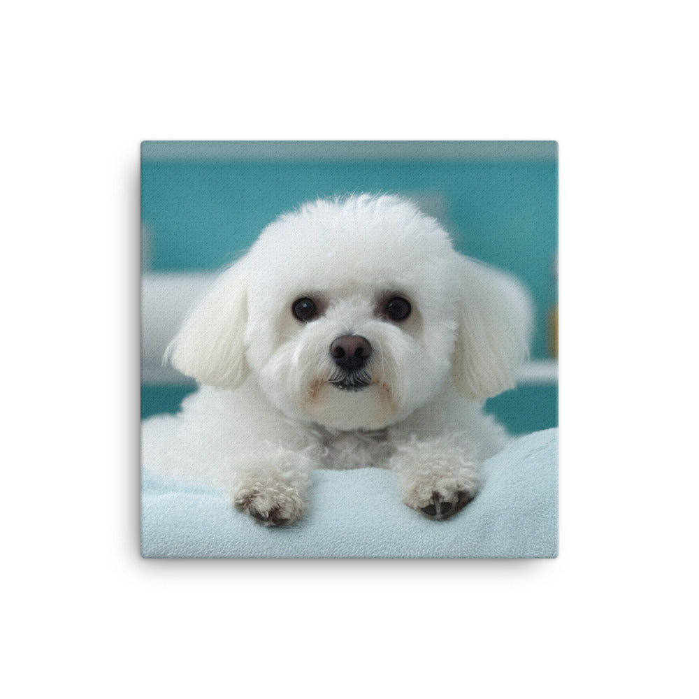 Bichon Frise in a Spa Canvas - PosterfyAI.com