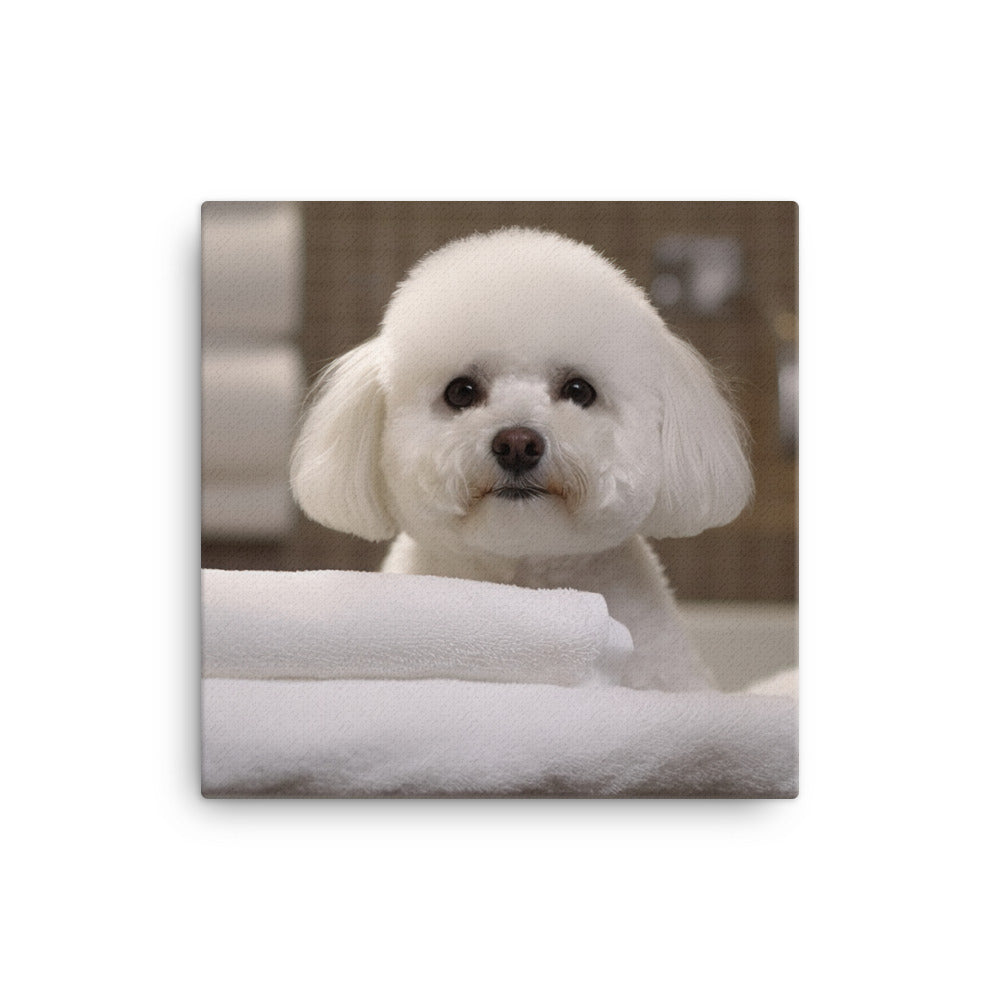 Bichon Frise in a Spa Canvas - PosterfyAI.com