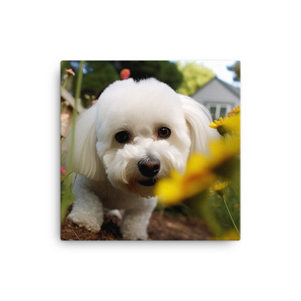 Bichon Frise in a Garden Canvas - PosterfyAI.com