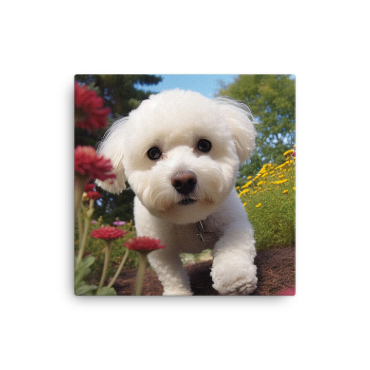 Bichon Frise in a Garden Canvas - PosterfyAI.com