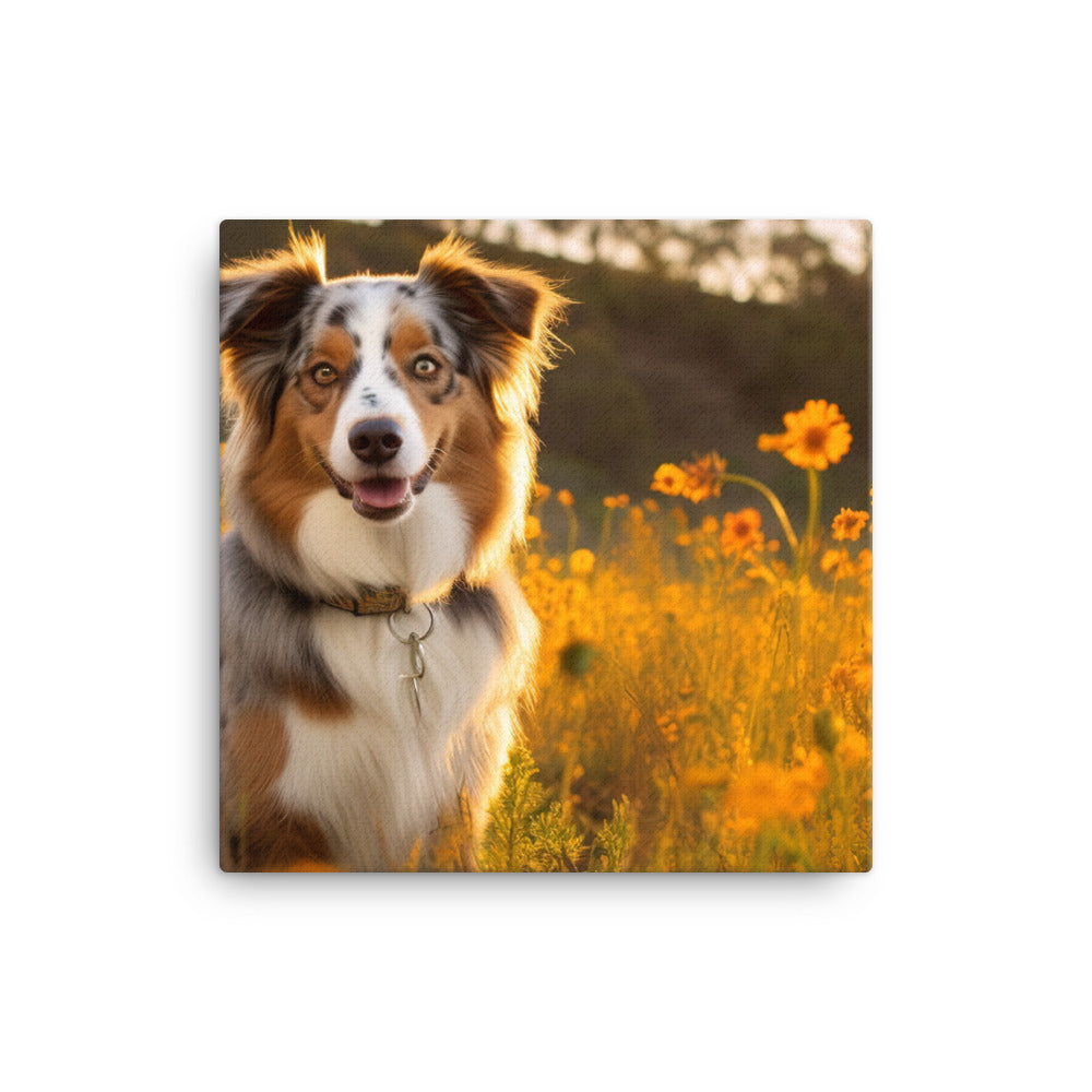 Australian Shepherd sitting Canvas - PosterfyAI.com