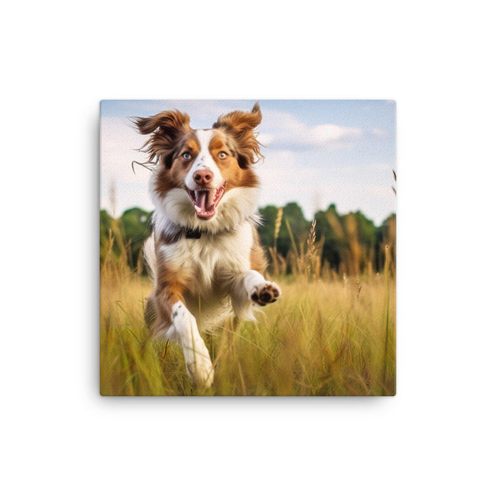 Australian Shepherd in action Canvas - PosterfyAI.com