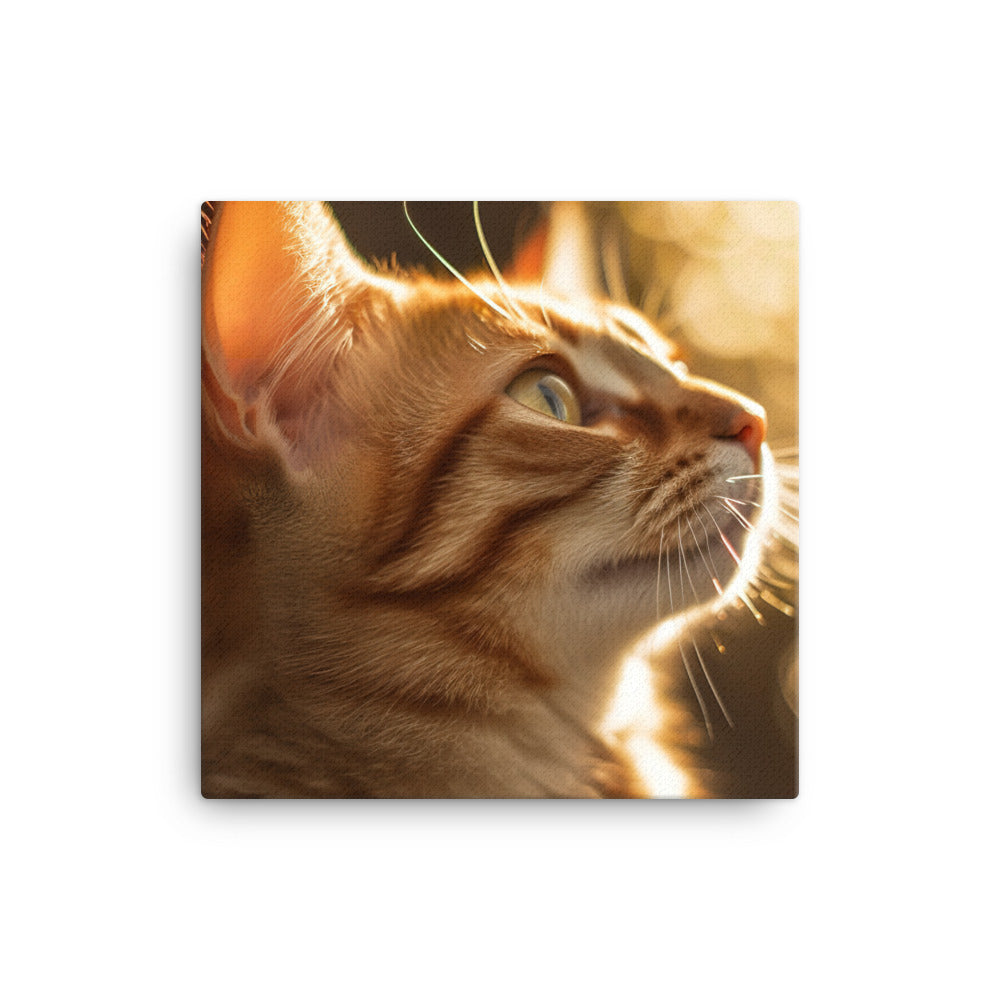 Details of Somali Kitten Canvas - PosterfyAI.com