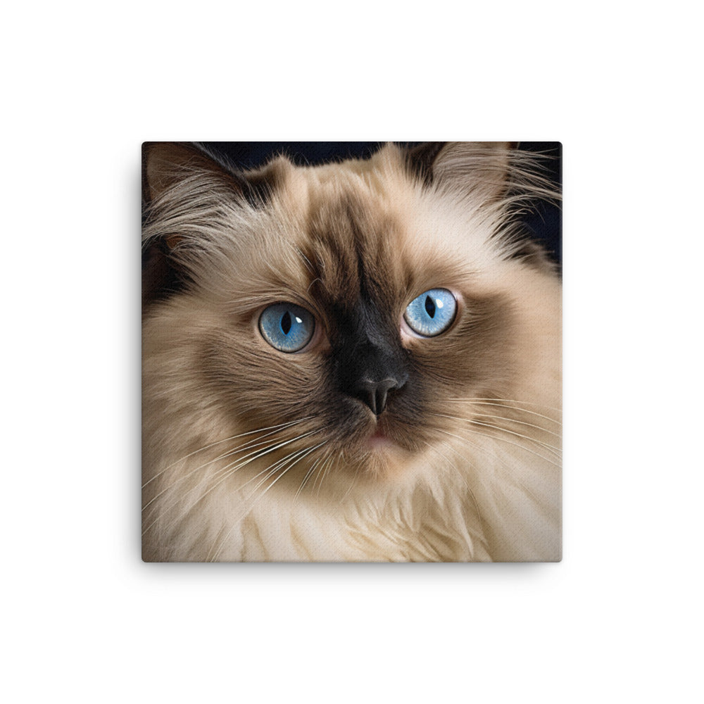 Beauty of Himalayan Cat Canvas - PosterfyAI.com