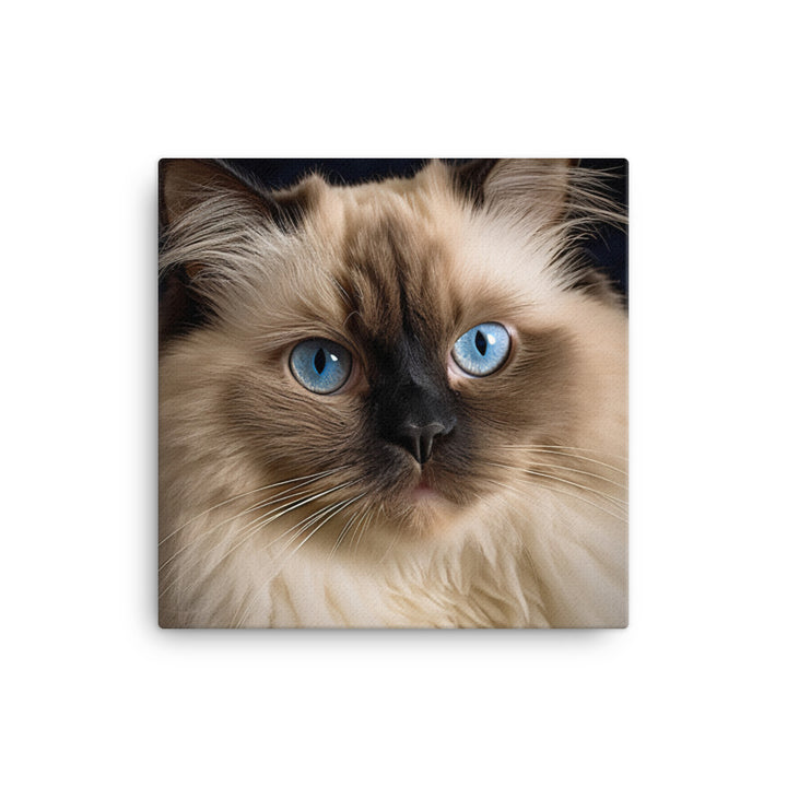 Beauty of Himalayan Cat Canvas - PosterfyAI.com