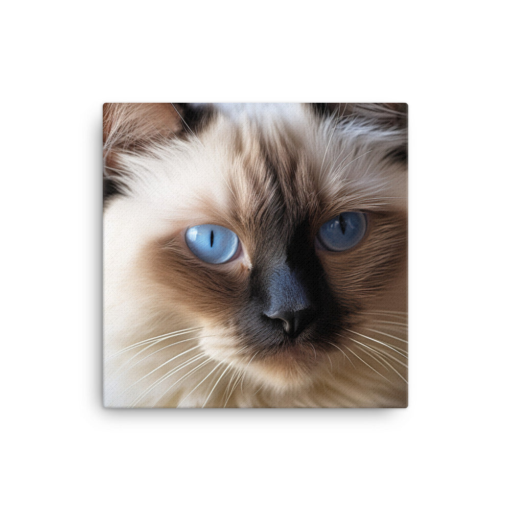 Birman Cat Canvas - PosterfyAI.com