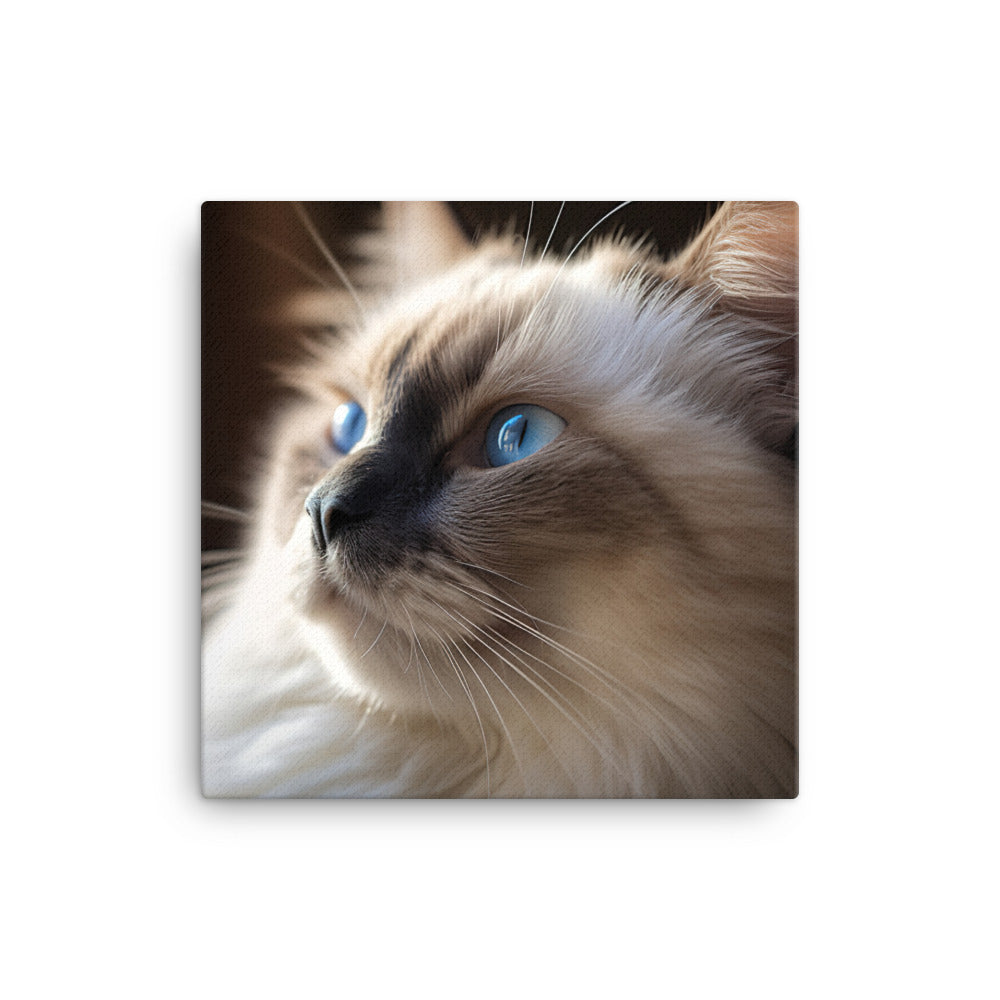 Birman Cat Canvas - PosterfyAI.com