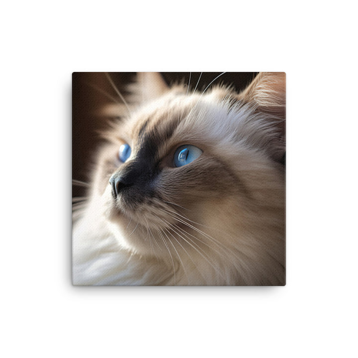 Birman Cat Canvas - PosterfyAI.com