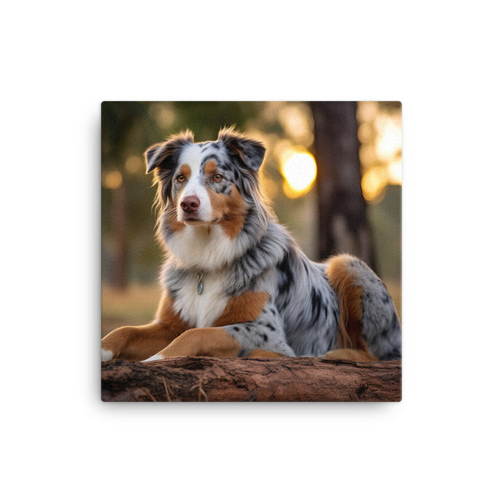 Australian Shepherd Canvas - PosterfyAI.com