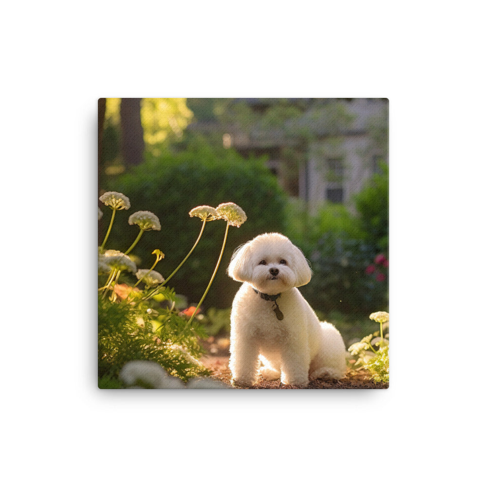 Bichon Frise Canvas - PosterfyAI.com