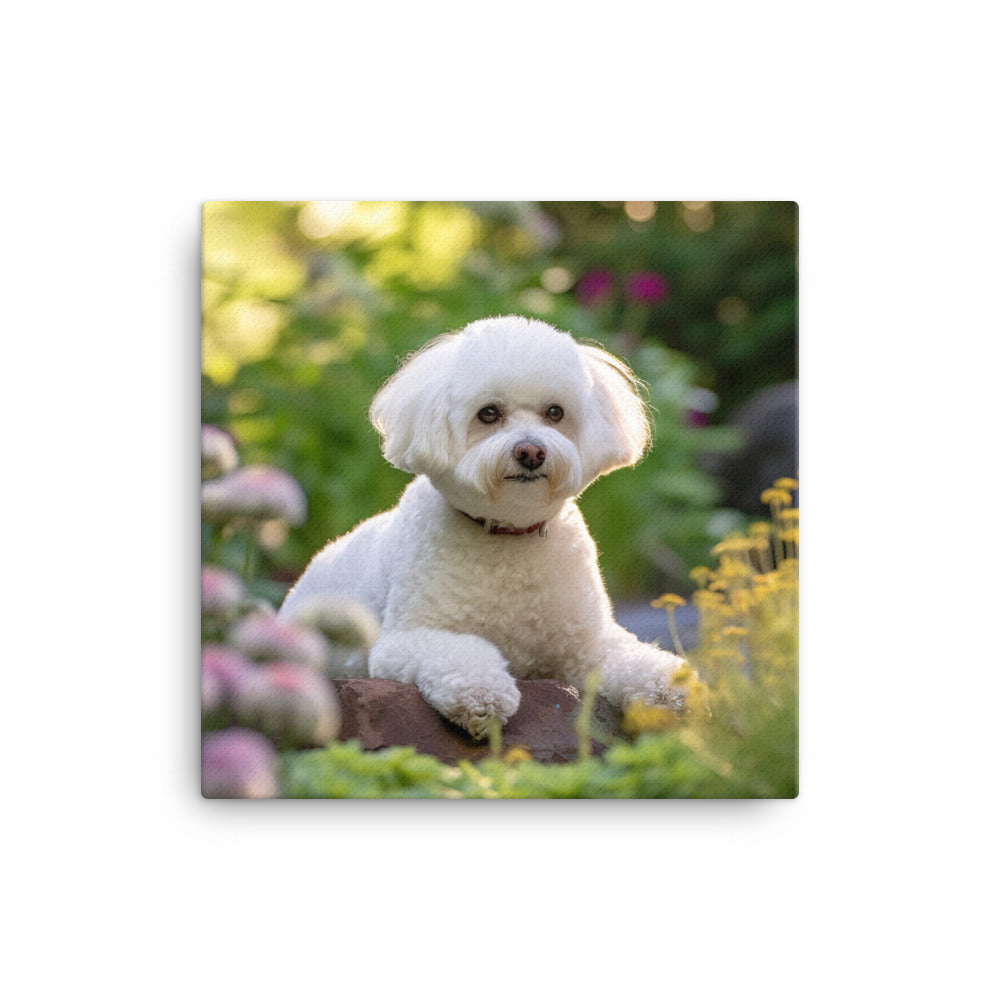 Bichon Frise Canvas - PosterfyAI.com