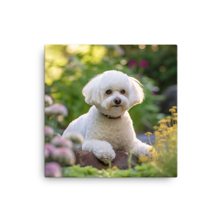 Bichon Frise Canvas - PosterfyAI.com