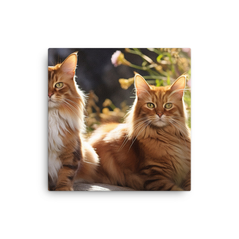 Somali Canvas - PosterfyAI.com