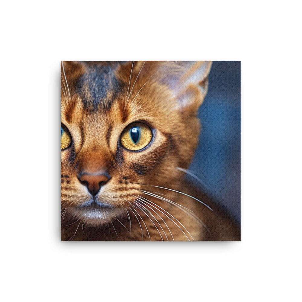 Somali Canvas - PosterfyAI.com