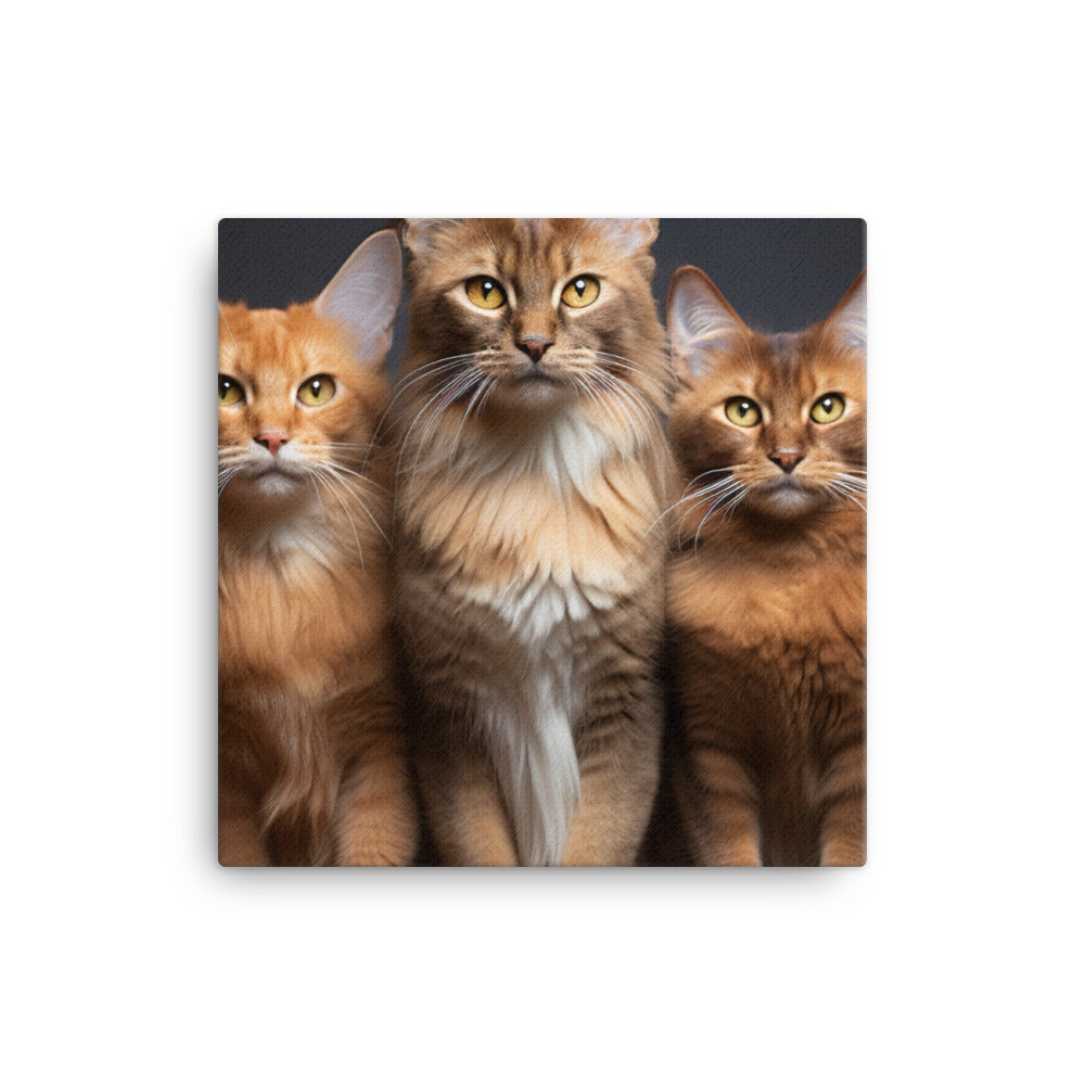 Somali Canvas - PosterfyAI.com