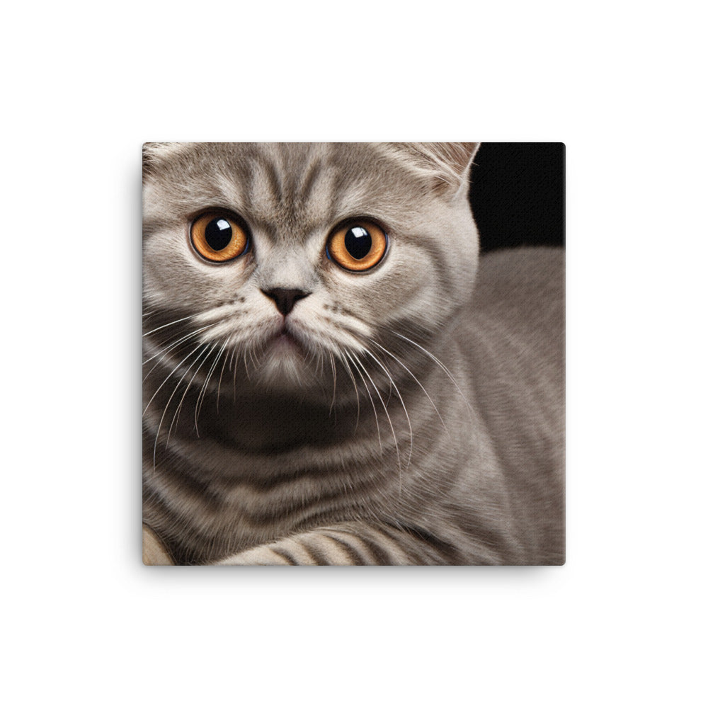 Scottish Fold Canvas - PosterfyAI.com