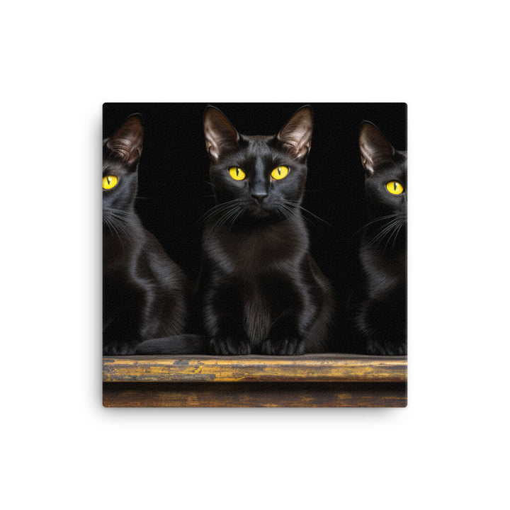 Bombay Canvas - PosterfyAI.com