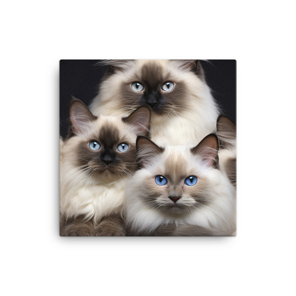 Birman Canvas - PosterfyAI.com