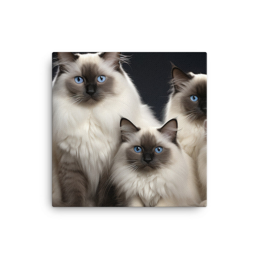 Birman Canvas - PosterfyAI.com