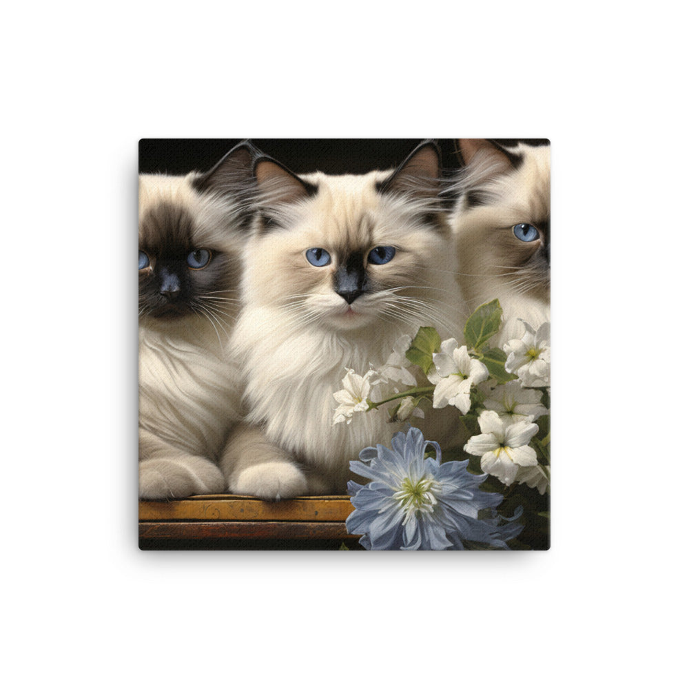 Birman Canvas - PosterfyAI.com