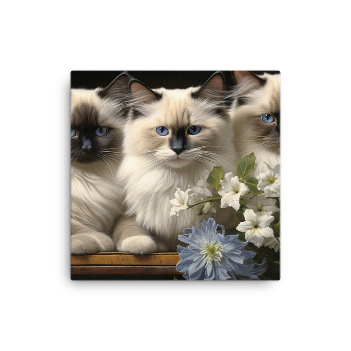 Birman Canvas - PosterfyAI.com