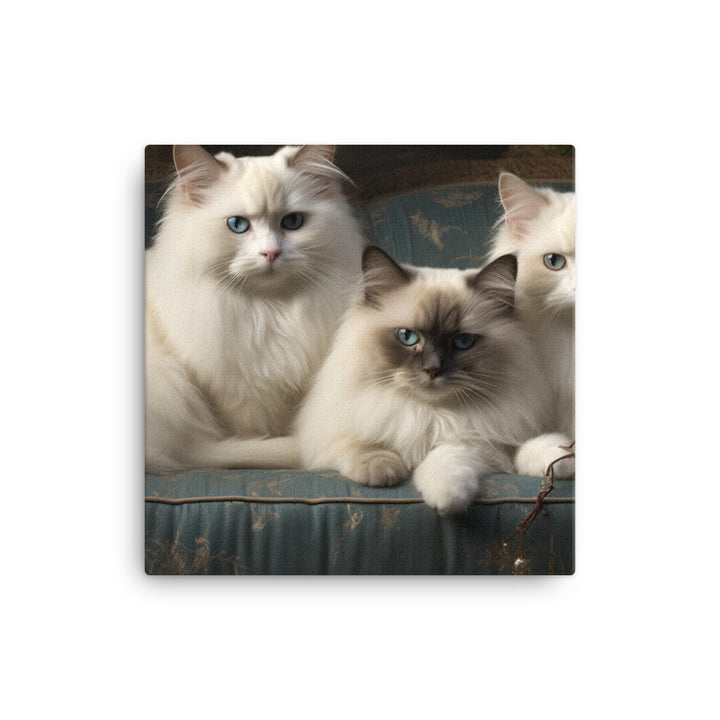 Birman Canvas - PosterfyAI.com