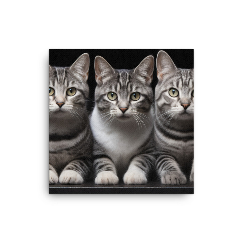 American Shorthair Canvas - PosterfyAI.com