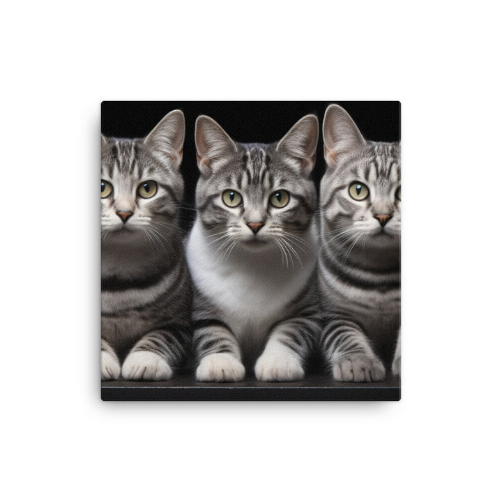 American Shorthair Canvas - PosterfyAI.com