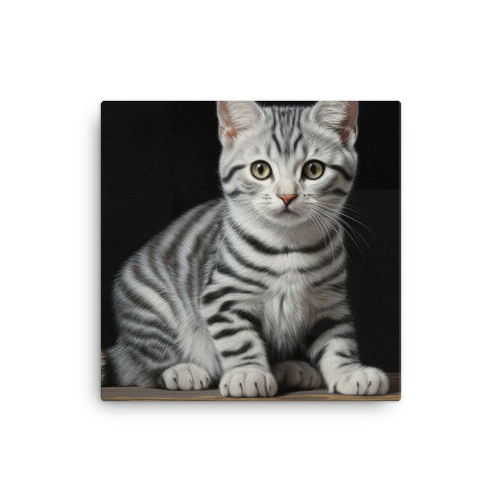 American Shorthair Canvas - PosterfyAI.com