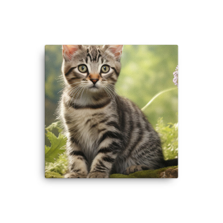 American Shorthair Canvas - PosterfyAI.com