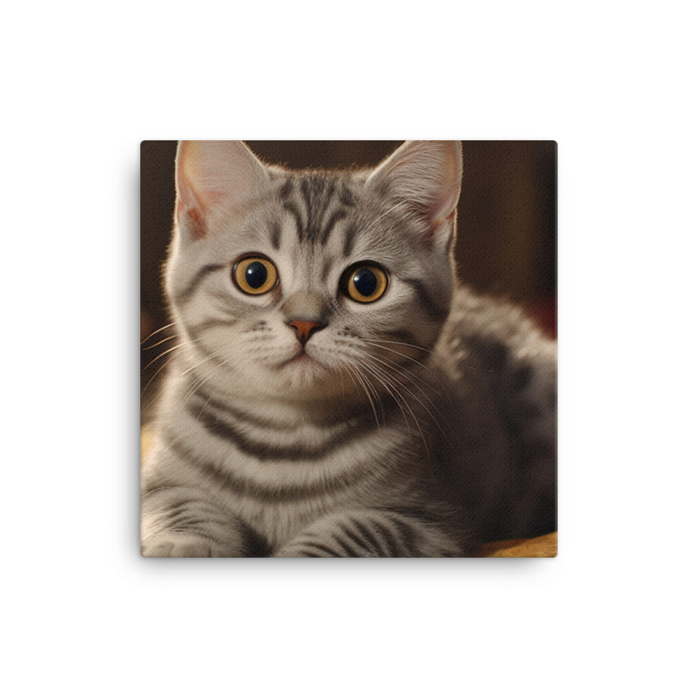 American Shorthair Canvas - PosterfyAI.com