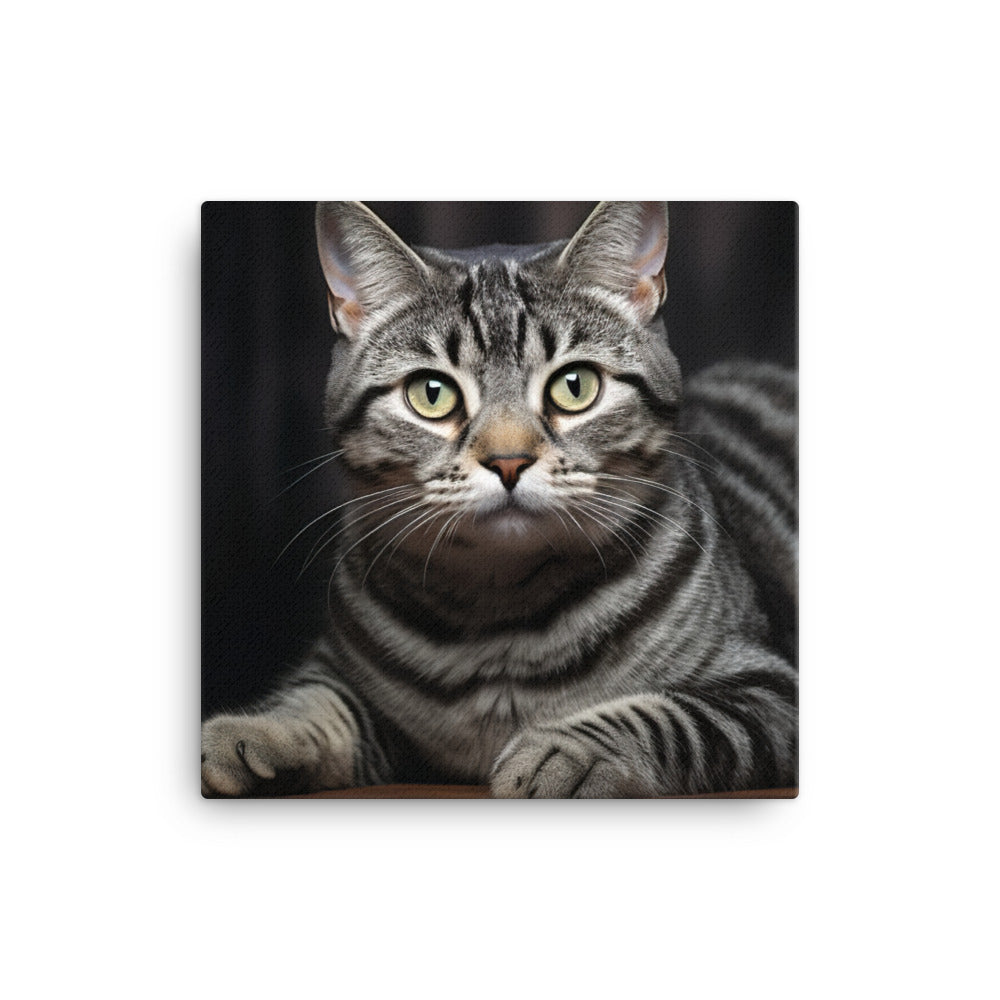 American Shorthair Canvas - PosterfyAI.com
