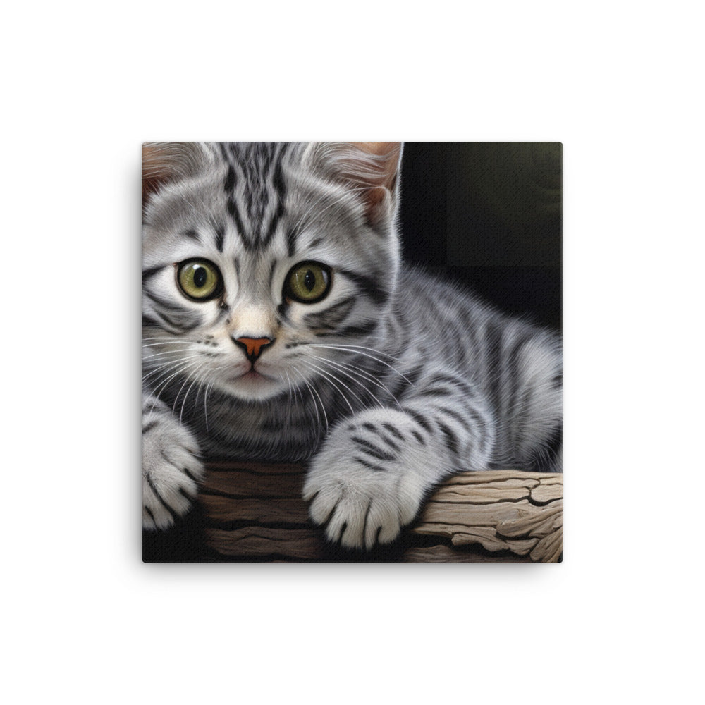 American Shorthair Canvas - PosterfyAI.com
