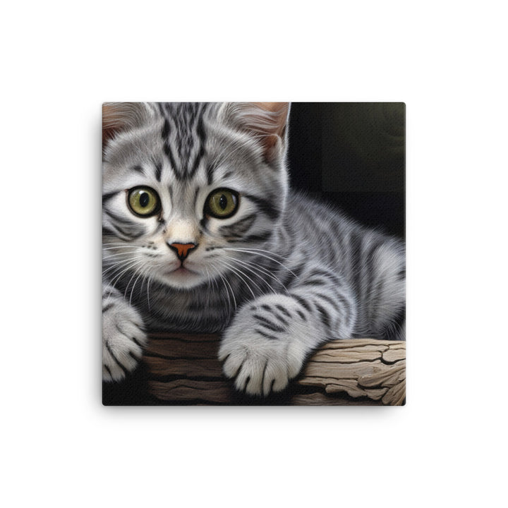 American Shorthair Canvas - PosterfyAI.com